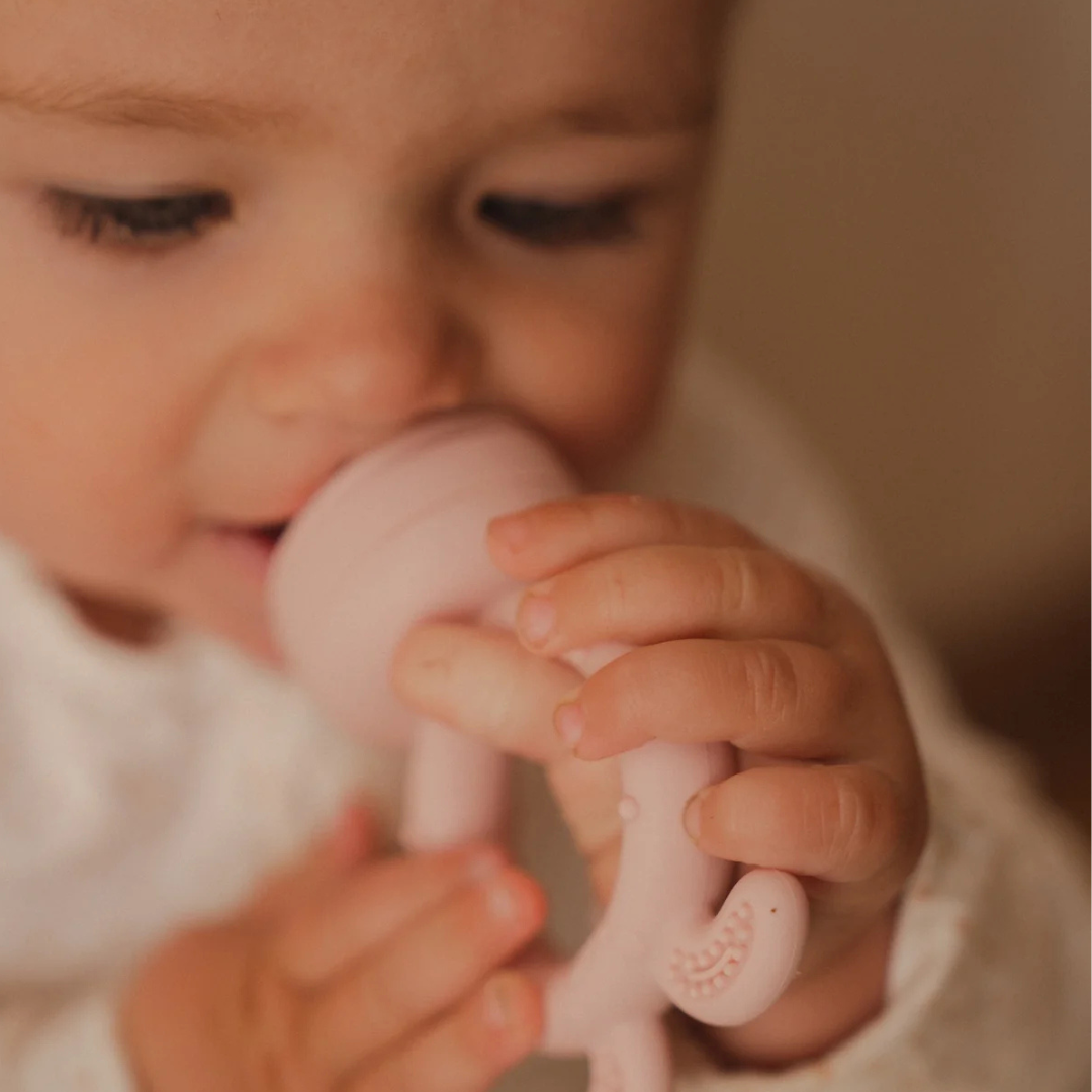 Teether ~ Nasty Free ~ Pink
