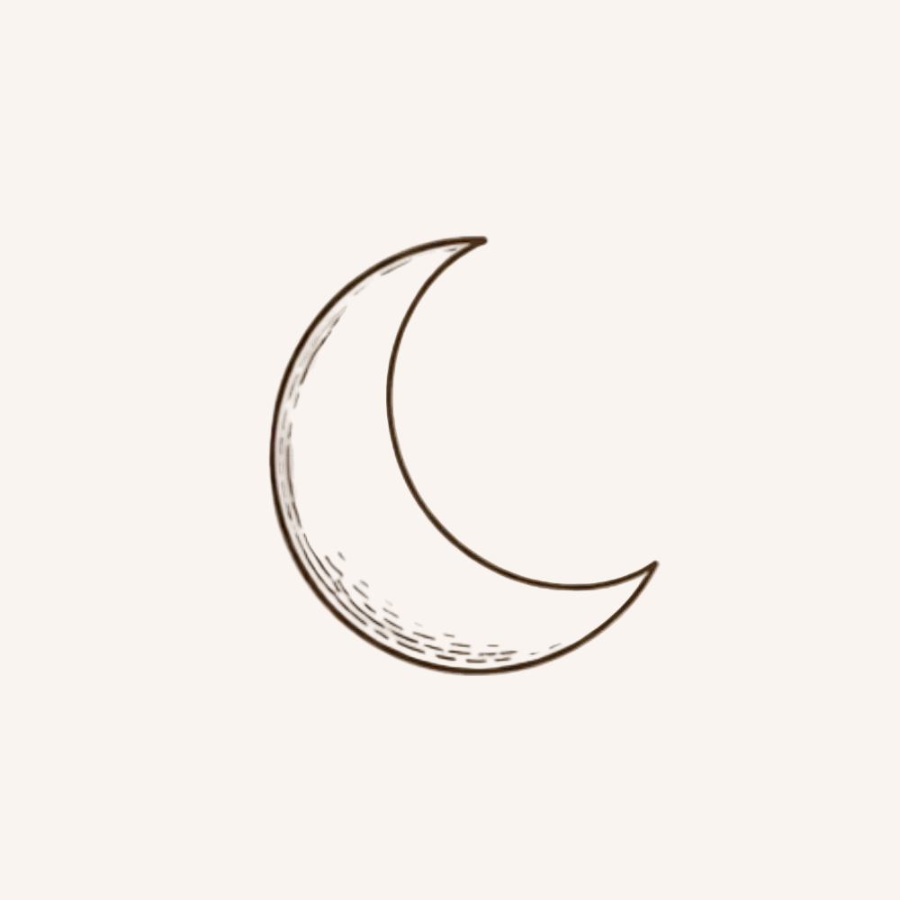 Sleep & Regulation