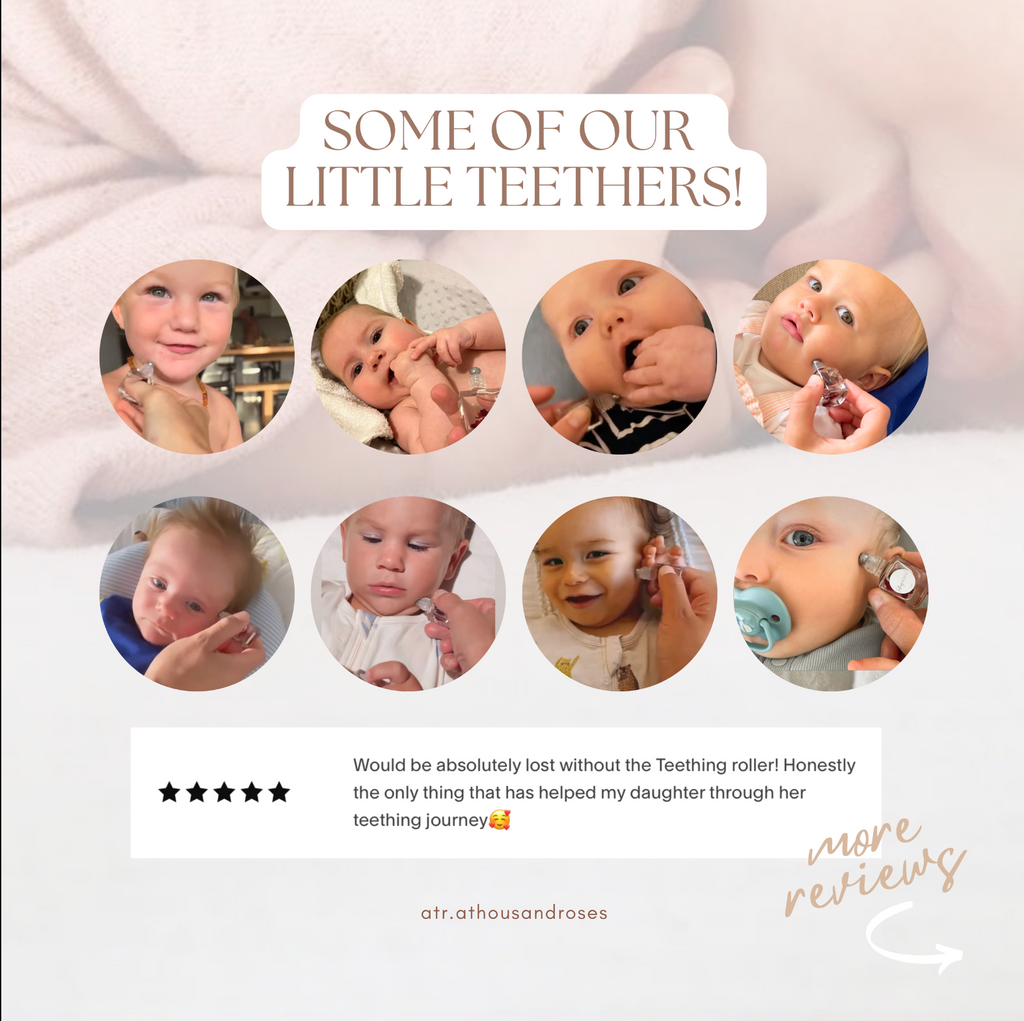 A Thousand Roses Store